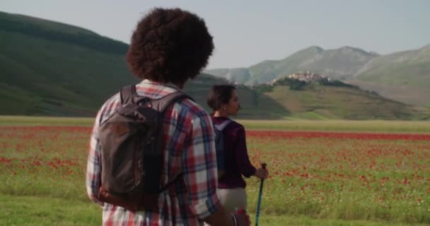 Erkek ve kadın yürüyüş direkleri kullanıyor.Castelluccio di Norcio 'daki çiçek tarlalarının yakınındaki patikada yürüyen İskandinav yürüyüşü. Güneşli bir günde Umbria' da arkadaşlarla yapılan İtalya gezisi. 60 fps el bilgisayarı. — Stok video