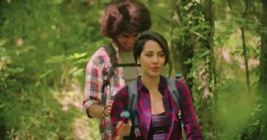 Yaz güneşli bir günde ormanboyunca trekking direkleri kullanarak kadın ve erkek yürüyüş. Yürüyüşçüler dağda yürüyüş. Yavaş çekim 60 fps ön el düzenlenen