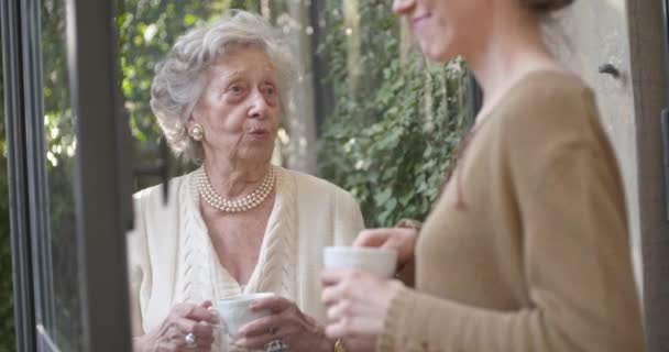 Kobiety z wieloma pokoleniem rozmawiają razem. Starszy babcia kobieta uśmiechając się z jej wnuczka lub młodego przyjaciela w pobliżu okna ogród picia herbaty lub kawy. Białe włosy Starsza babcia w domu. Zwolnionym — Wideo stockowe