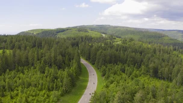 Vista aérea volando sobre el camino forestal de dos carriles con el coche moviendo árboles verdes de bosques que crecen a ambos lados. Coche conduciendo por la carretera forestal. aéreo: coche que conduce a través de bosque de pinos. Alemania bosque negro aéreo — Vídeos de Stock