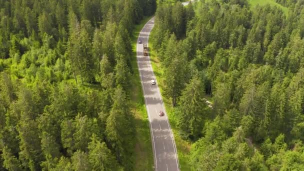 Luftaufnahme, die über eine zweispurige Waldstraße fliegt, auf der das Auto grüne Bäume von Wäldern bewegt, die auf beiden Seiten wachsen. Auto fährt auf Forststraße. Antenne: Auto fährt durch Kiefernwald.deutschland Schwarzwald Antenne — Stockvideo