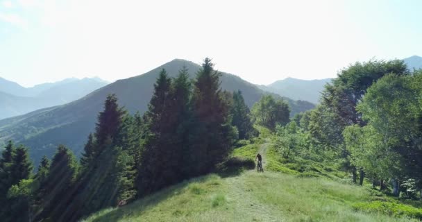 Ciclista montar en bicicleta de montaña a lo largo del bosque vista aérea sendero en verano día soleado. Motociclista de fondo. Bicicleta MTB aérea montada en pista. Montar bicicleta eléctrica de montaña a lo largo del camino en las montañas — Vídeo de stock