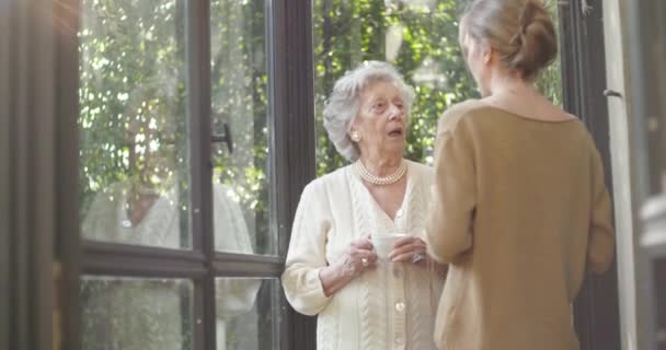 Multigeneration kvinnor pratar tillsammans. Senior mormor kvinna leende med hennes barnbarn eller ung vän nära trädgården fönster dricka te eller kaffe. Vita hår äldre mormor hemma. Slow motion — Stockvideo