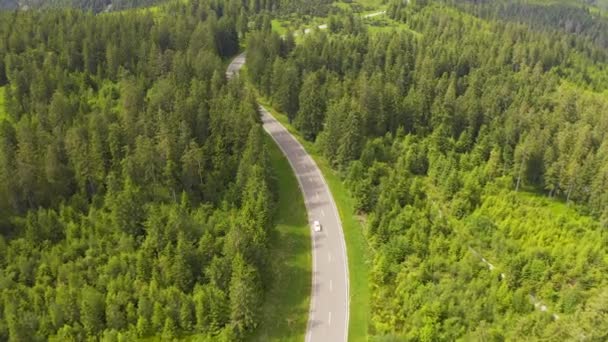 Vista aérea volando sobre el camino forestal de dos carriles con el coche moviendo árboles verdes de bosques que crecen a ambos lados. Coche conduciendo por la carretera forestal. aéreo: coche que conduce a través de bosque de pinos. Alemania bosque negro aéreo — Vídeo de stock