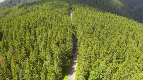 Εναέρια θέα που πετούν πάνω από δύο λωρίδα δάσος δρόμο με το αυτοκίνητο κινούμενα πράσινα δέντρα του δάσους που αναπτύσσεται και στις δύο πλευρές. Αυτοκίνητο με οδήγηση κατά μήκος του δασικού δρόμου. εναέρια: αυτοκίνητο οδήγηση μέσα από πευκοδάση. Γερμανία μαύρο δάσος εναέρια — Αρχείο Βίντεο