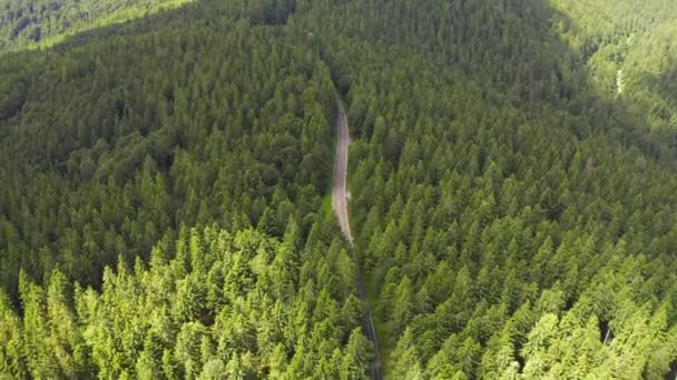鸟瞰飞过两条车道的森林道路，汽车移动的绿树的树林生长两侧。汽车沿着森林公路行驶。空中：汽车驶过松树林。德国黑森林空中 — 图库视频影像