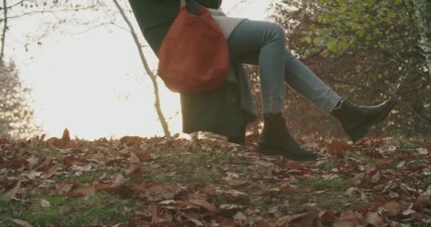 Kvinnan svingar sig på en gunga vid solnedgången. Kvinnan rider på en gunga i parken. Människor njuter av hösten naturen vid solnedgången.kvinna rider på en gunga samtidigt som avkopplande i naturen.Fall skog solnedgång. — Stockvideo