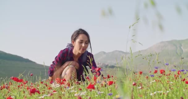 Mulher sorridente cheirando e colhendo flores de campo.Vista frontal, tiro médio, câmera lenta.Mulher sorridente agachada entre flores vermelhas ao ar livre. Tempo ensolarado — Vídeo de Stock