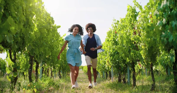 Casal romântico amor andando e brincalhão correndo por vinhas verdes. Frente seguir tiro largo.Amigos viagem italiana — Fotografia de Stock