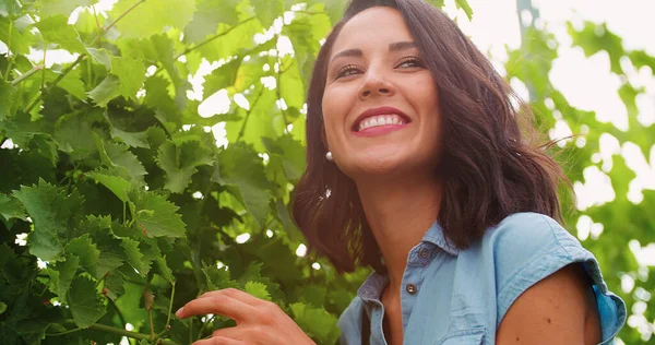 Lächelnde Frau berührt Weinberg bei Sonnenuntergang oder Sonnenaufgang.Warme Sonne Gegenlicht. — Stockfoto