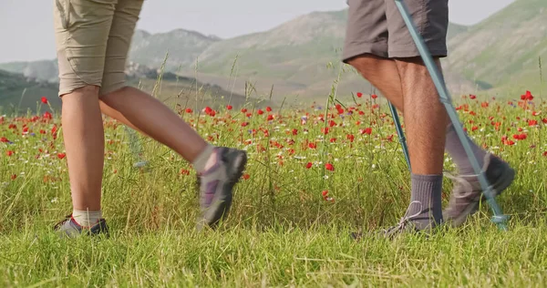Hombre y mujer de senderismo utilizando los polos de trekking. Nordic caminar al aire libre en un sendero cerca de los campos de flores en Castelluccio di Norcia.Friends viaje italiano en un día soleado. — Foto de Stock