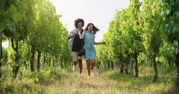 Romantikus szerelem pár séta és játékos futó zöld szőlőskertek. Front kövesse széles lövés. Barátok olasz utazás — Stock Fotó