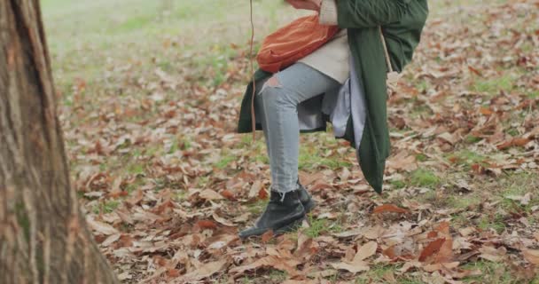 秋の日に本を読みながら大きな木の下でスイングに座っている女性 — ストック動画
