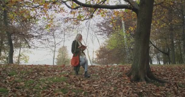 Genç ve güzel bir kadın sonbahar yolculuğunda bir ağacın altında kitap okurken sallanıyor. yavaş çekim — Stok video