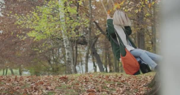 Seitenansicht einer jungen Frau, die unter einem großen Baum in einer kalten Herbstreise schwingt. Zeitlupe — Stockvideo