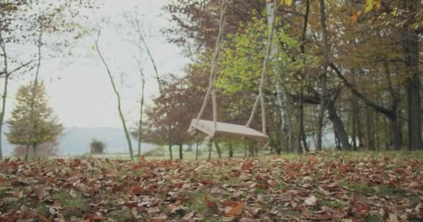 Αιωρείται ταλάντευση σε άδειο δημόσιο πάρκο το φθινόπωρο. Φύλλα στην παιδική χαρά στο πάτωμα. αργή κίνηση. Δεν υπάρχουν άνθρωποι — Αρχείο Βίντεο