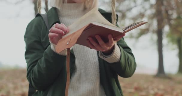 Jonge en mooie vrouw die een boek leest en het zich herinnert tijdens het schommelen, in de herfst. Langzame beweging — Stockvideo