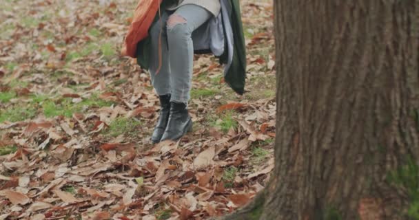 Woman sitting on a swing under a big tree while reading a book in an autumn day.slow motion — Stock Video