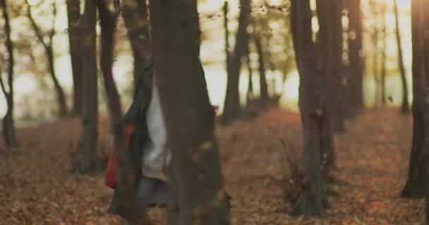 Mujer joven caminando y mirando a su alrededor para admirar la naturaleza durante la puesta del sol. Hermosa mujer jugar con el árbol, encontrar su juventud de nuevo.Un contraluz, cámara lenta — Vídeo de stock