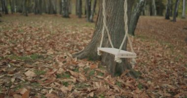 Sonbaharda boş halk parkında salıncakta sallanıyor. Oyun parkında yapraklar yerde. yavaş çekim