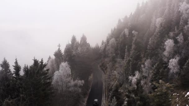 Flygfoto över en bil som kör i en dimmig dag i berget. Bilen kör i en svängd väg med nära vita snöiga träd. slow motion — Stockvideo