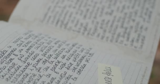 Eine junge Frau liest im Herbst einsam aus ihrem Tagebuch. Seitendetail. Zeitlupe — Stockvideo
