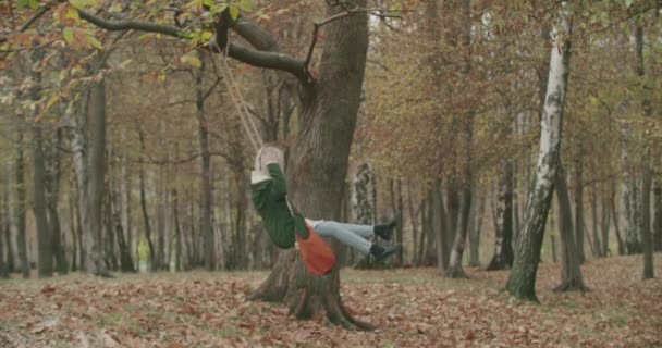 Vista lateral de una joven mujer balanceándose bajo un viejo árbol en otoño. cámara lenta — Vídeo de stock