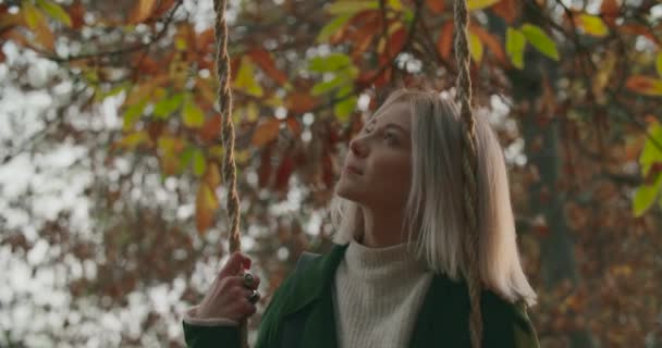 Movimento lento de uma jovem mulher relaxando sua mente em um balanço. Bela senhora lê um livro sob uma grande árvore no outono. — Vídeo de Stock