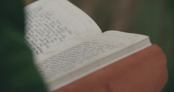 Jonge vrouw las haar dagboek om haar herinneringen terug te brengen en zichzelf te herstellen in een koude herfstreis. Langzame beweging. Achteraanzicht detail van de hand-en boekpagina — Stockvideo