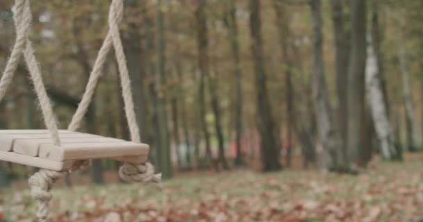 Close up of an empty swing swinging by wind in the middle of a desolate park in an autumn day. slow motion — Stock Video