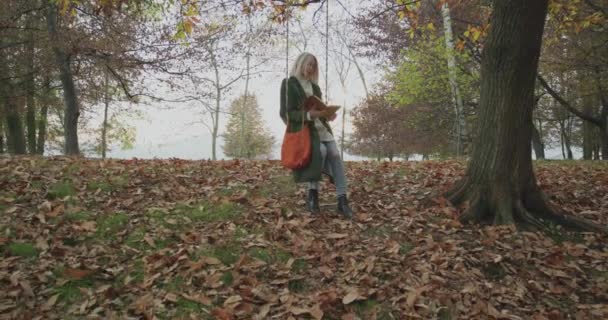 Jonge mooie vrouw swingen tijdens het lezen van een boek onder een boom in een park in de herfst dag. slow motion — Stockvideo