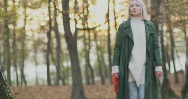 Yaşlı ağaçlarla ormanda yürüyen genç bir kadın. Doğanın güzelliği. Kadın ağaç kabuğunu yavaşça okşar.