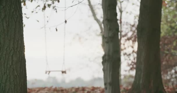 Im Mittelpunkt steht eine einsame Schaukel unter einem Baum an einem nebligen Herbsttag. Zeitlupe — Stockvideo