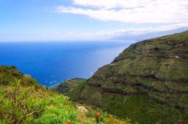 Barranco de Ruiz, Tenerife 'nin yürüyüş için güzel bir vadisidir. Kanarya Adaları, İspanya.