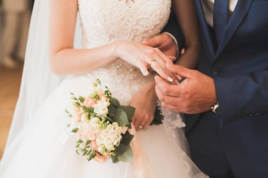 Gelin ve damat alyanslarını değiş tokuş ediyorlar. Şık bir çift töreni.