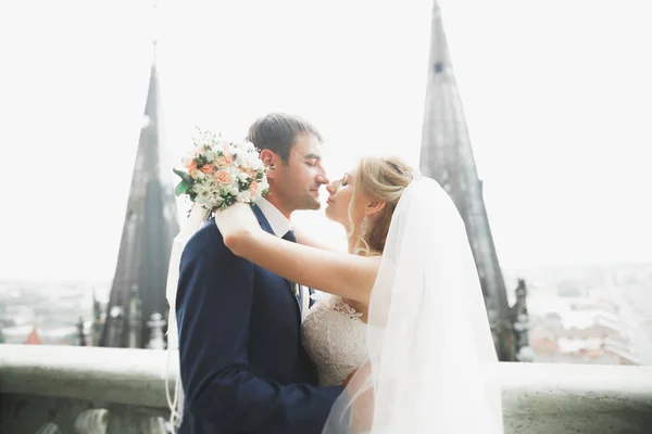 Perfektes Paar Braut, Bräutigam posiert und küsst sich am Hochzeitstag — Stockfoto