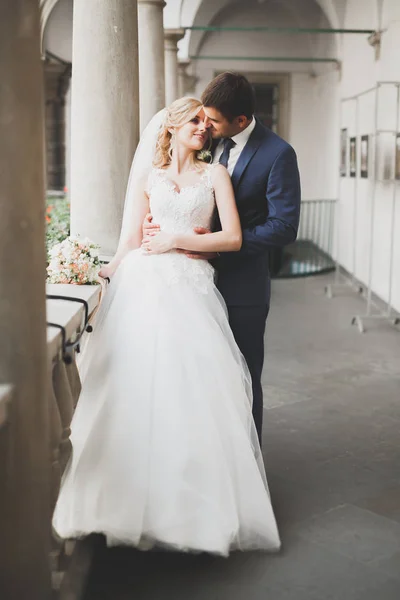 Casal perfeito noiva, noivo posando e beijando em seu dia do casamento — Fotografia de Stock