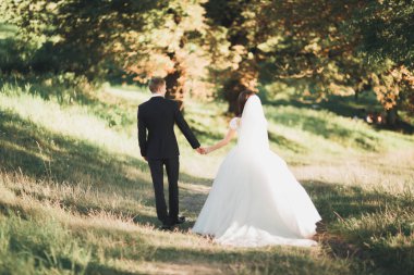 Mükemmel bir çift gelin ve damat düğün günlerinde poz verip öpüşürler.
