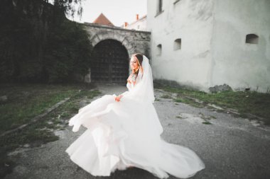 Muhteşem romantik zarif stil güzel beyaz gelin arka planda antik barok kalesinde