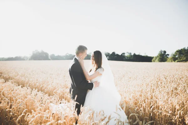 Hermosa pareja de boda, novia y novio posando en el campo de trigo con cielo azul —  Fotos de Stock