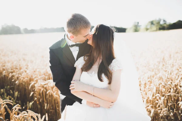 Hermosa pareja de boda, novia y novio posando en el campo de trigo con cielo azul — Foto de Stock
