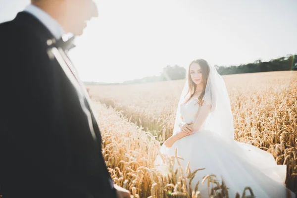 Casal de casamento bonito, noiva e noivo posando no campo de trigo com céu azul — Fotografia de Stock