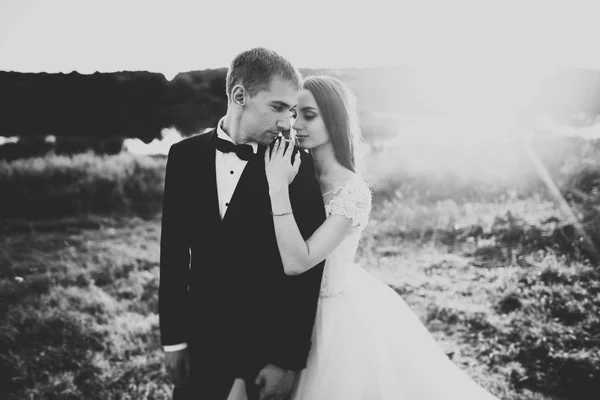 Happy newlywed couple posing and smiling in wedding dress and suit outdoor, black and white — Stock Photo, Image