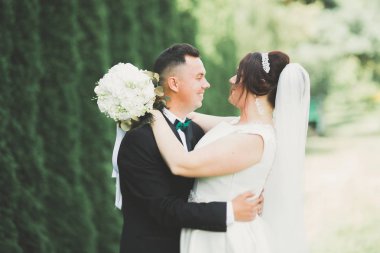 Mükemmel bir çift gelin ve damat düğün günlerinde poz verip öpüşürler.