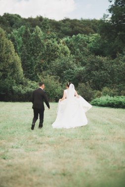 Botanik parkında yürüyen mutlu bir çift.