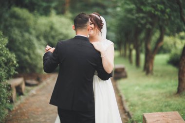 Mükemmel bir çift gelin ve damat düğün günlerinde poz verip öpüşürler.