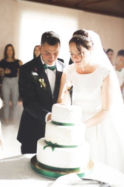 Gelin ve damat düğün pastasını kesiyor.