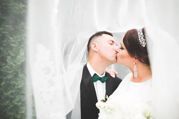 Pasangan pengantin yang sedang bergandengan tangan — Stok Foto