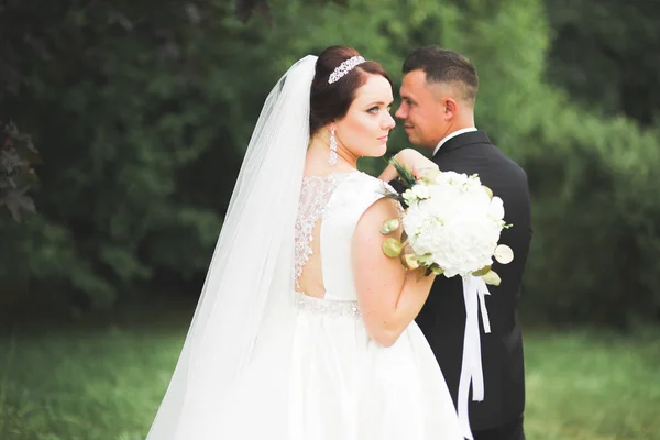 Boda pareja novia y novio de la mano — Foto de Stock