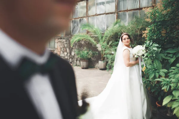 Perfect couple bride, groom posing and kissing in their wedding day — Stock Photo, Image